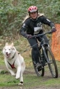 Emma Maunder #pushyourmush Manny at his 1st bssf race at Pembrey! We weren't fast but we had a great time 😊