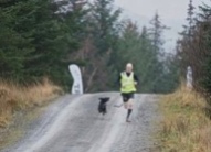 Susie Lee #Pushyourmush Powered by CSJ Fit n Fast.. Guy in full flight at Grizedale with his HuDad